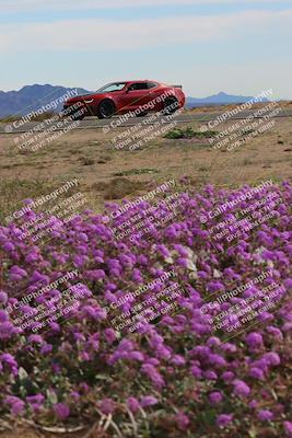 media/Jan-08-2023-SCCA SD (Sun) [[8f6a5b9391]]/Advanced Group/Session 2 (Short Straight)/